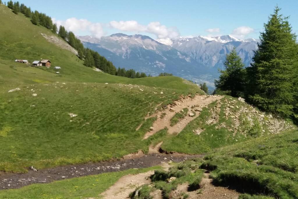 Chaleureux Appartement Au Coeur Des Orres 1800, Menage Compris Les Orres Luaran gambar