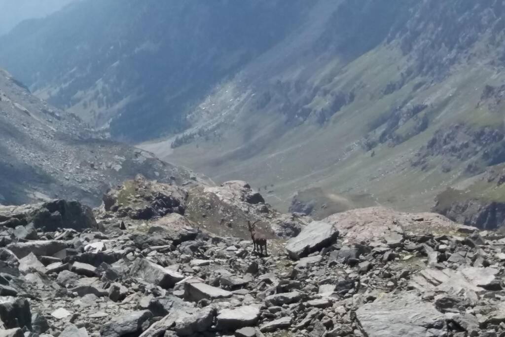 Chaleureux Appartement Au Coeur Des Orres 1800, Menage Compris Les Orres Luaran gambar